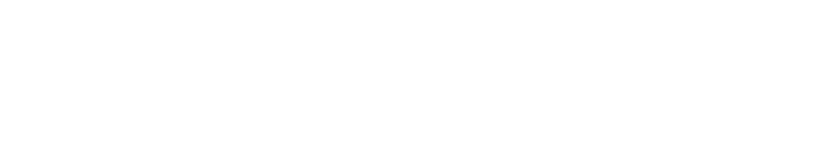 Ginsburg Logo