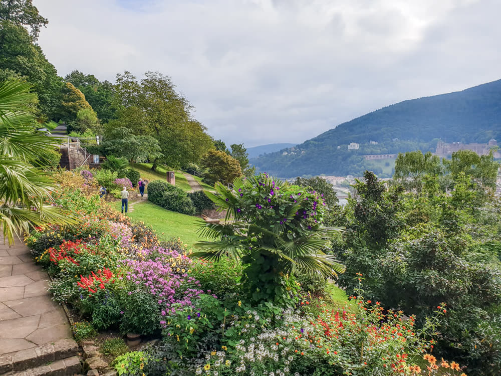 Philosophenweg mit Blick auf Heidelberg, Neckar und Schloss
