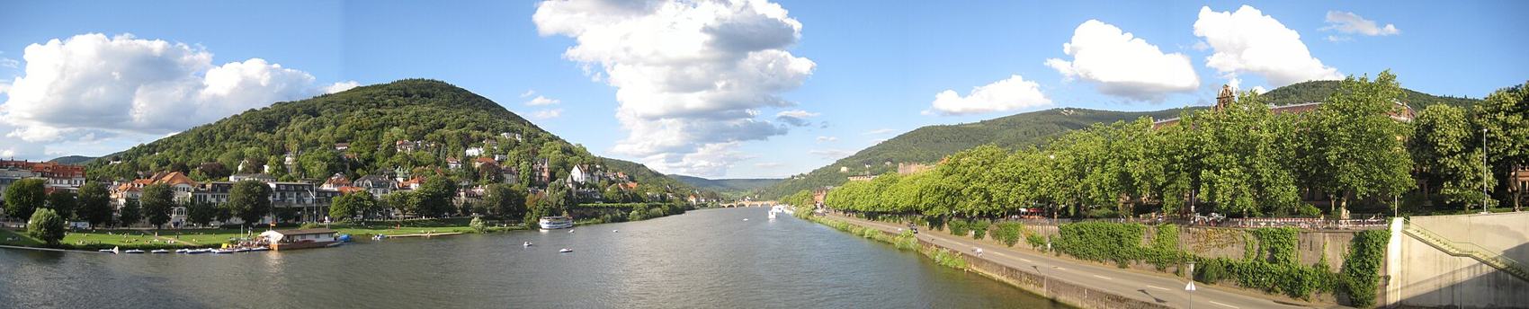 Der Neckar bei Heidelberg